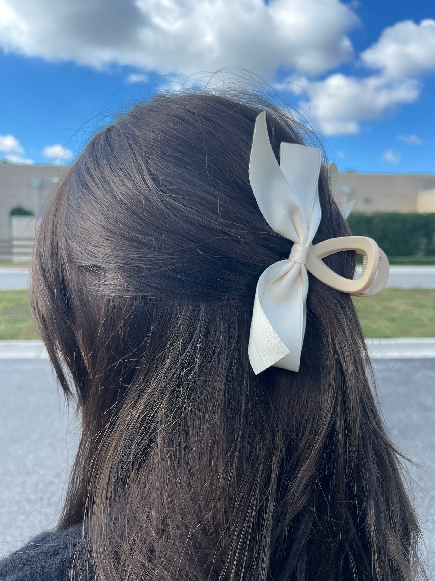 Bow Claw Clip